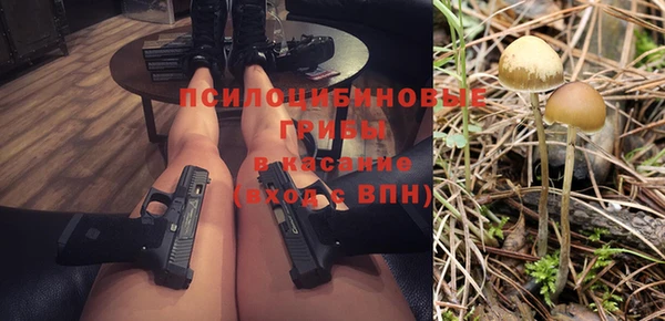 винт Богданович